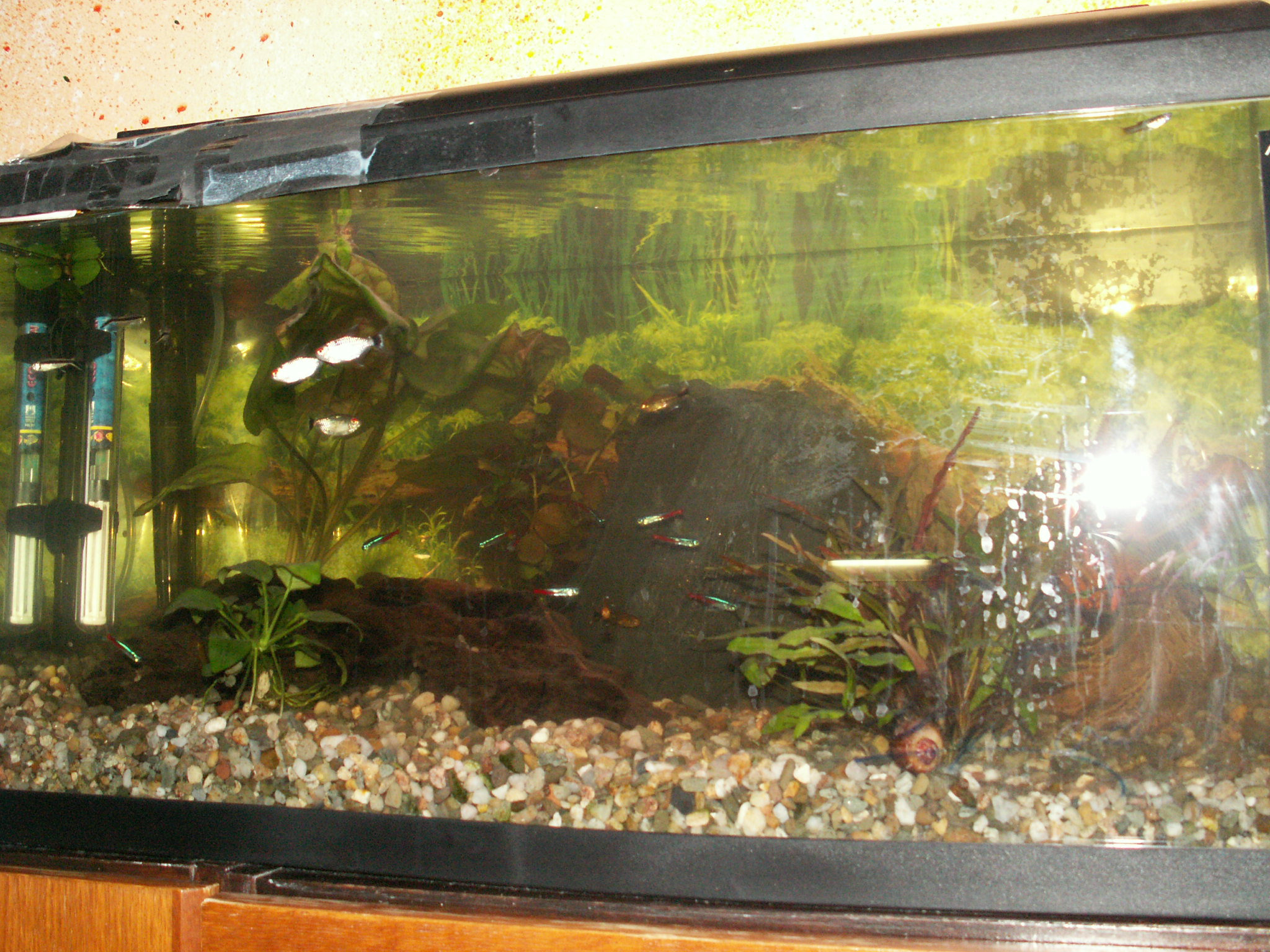 PICT9806.JPG