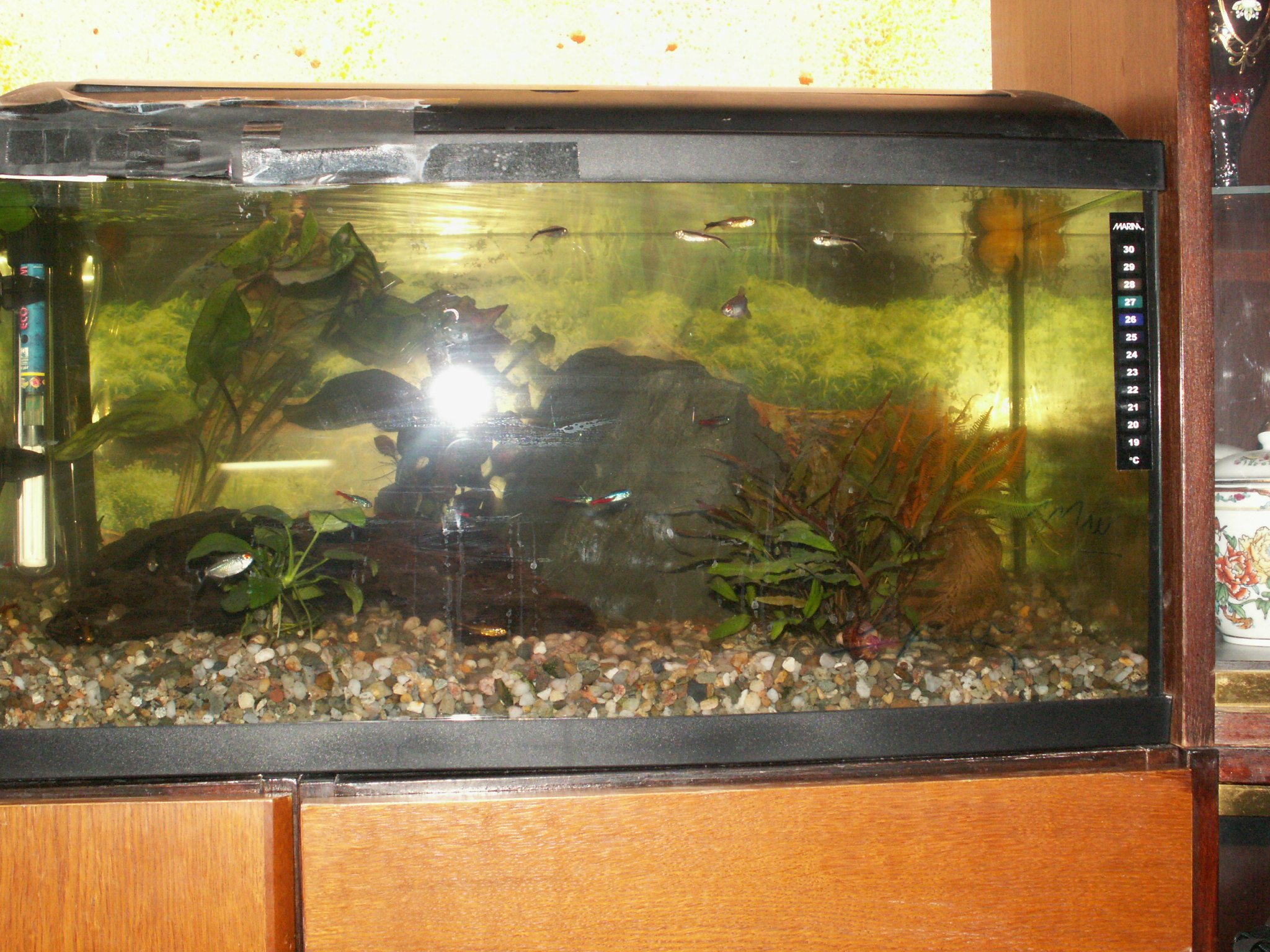 PICT9808.JPG